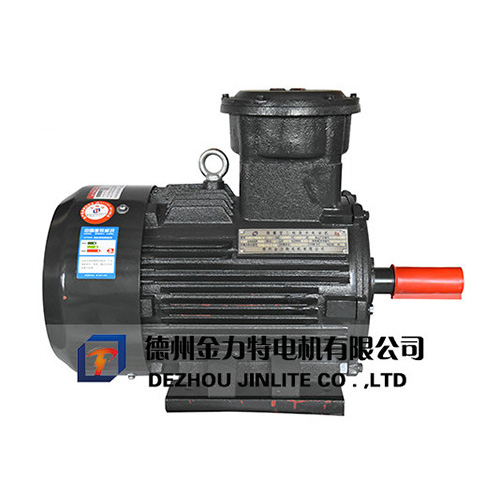 YB3系列隔爆型三相異步電動(dòng)機(jī)